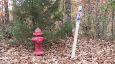 0 Drew Ct unit RTC3050467, Smithville, TN 37166 - photo 4