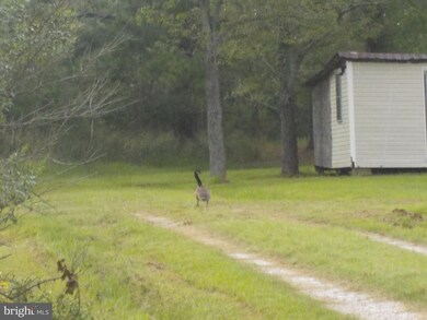 2126 Andrews Rd, Crapo, MD 21626 - photo 2