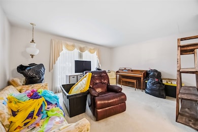 4113 County Road 424, Alvin, TX 77511 - photo 7