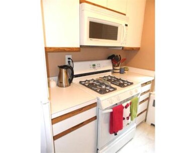 132 Beaconsfield Rd unit 6, Brookline, MA 02445 - photo 7