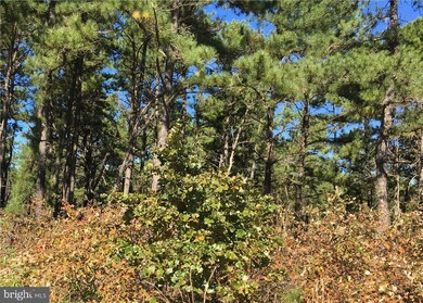 0 Seabrook Ave unit NJOC147160, Bayville, NJ 08721 - photo 4