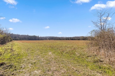 0 Brock Rd unit RTC3058561, Chickamauga, GA 30707 - photo 3