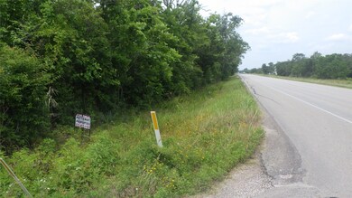 FM 521 at CR 461 Fm 521 Rd, Brazoria, TX 77422 - photo 5