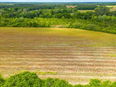 0 Drum Dr, Nicholls, GA 31554 - photo 7