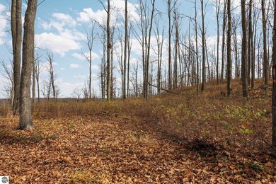 Lot D Retreats Way, Rapid City, MI 49676 - photo 7