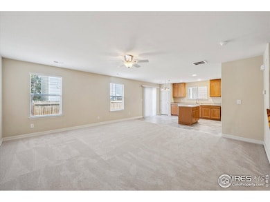 10691 Durango Place, Longmont, CO 80504 - photo 4