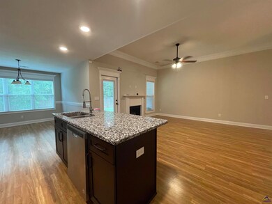 209 Collinstown Ave, Centerville, GA 31028 - photo 6