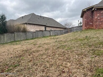 Back yard3