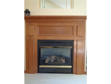 Beautiful Gas Fireplace