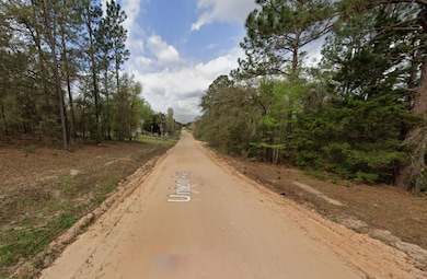 Union Avenue Interlachen unit Putnam FL, Interlachen, FL 32148 - photo 2