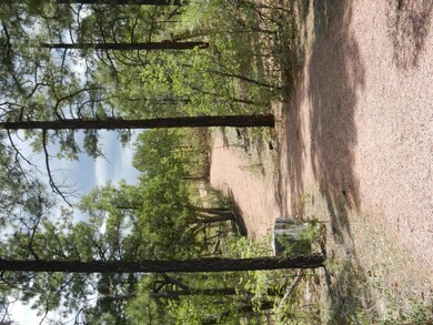 SC Trail