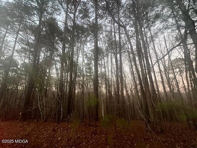 127 Long Shoals Dr, Eatonton, GA 31024 - photo 6