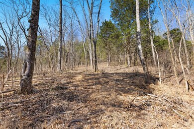 0 Chipman Rd, Bethpage, TN 37022 - photo 3