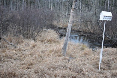 646 W 3 Mile Rd, Luther, MI 49656 - photo 3