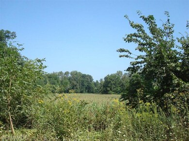 3480 Sampson Rd, Camden, MI 49232 - photo 4