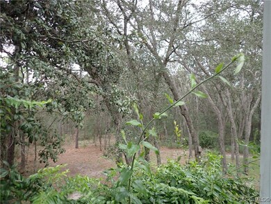 1283 E Rockefeller Ln, Hernando, FL 34442 - photo 3