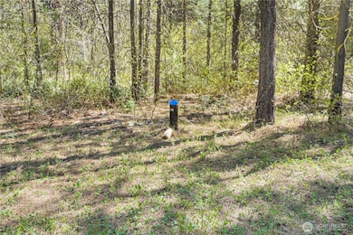 17265 Lake Julius Rd, Leavenworth, WA 98826 - photo 7