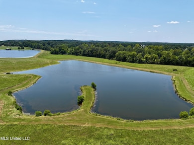 dji_fly_20240812_171712_0003_17234952563