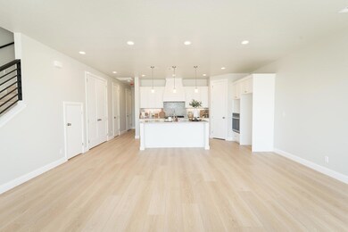 Kitchen & Living Space