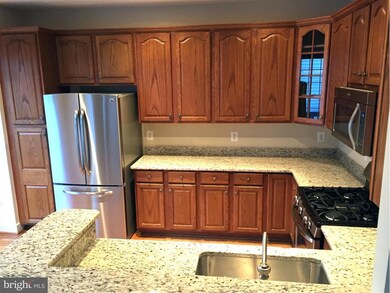 4629 Knight Place, Alexandria, VA 22311 - photo 6