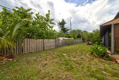 backyard (1)
