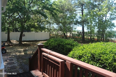Back Yard (2)