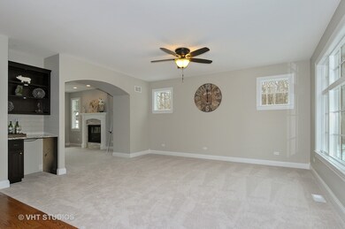 828 Leona Mae Ct unit 828, Naperville, IL 60563 - photo 3