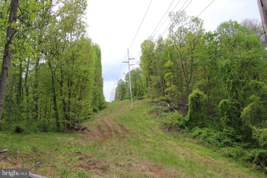 0 Chestnut Run Ln unit VARP107578, Sperryville, VA 22740 - photo 6