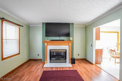 1232 Taplin Ave, Akron, OH 44319 - photo 6