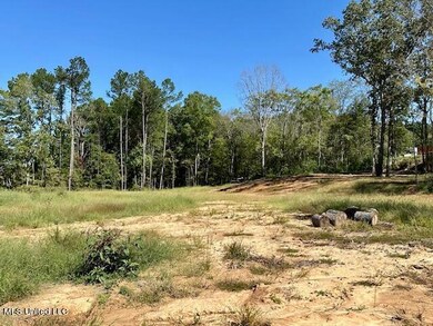 10696 Bobcat Ln-Photo from street close