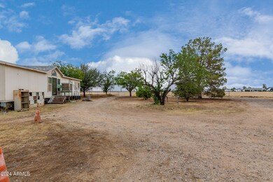 0005-06 - Horsethief