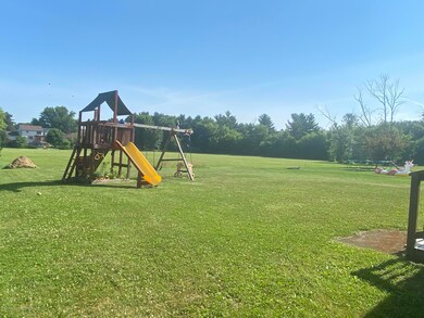 Brower backyard playset