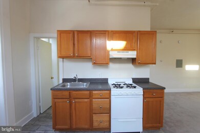 100 E Price St unit 1-A, Philadelphia, PA 19144 - photo 6