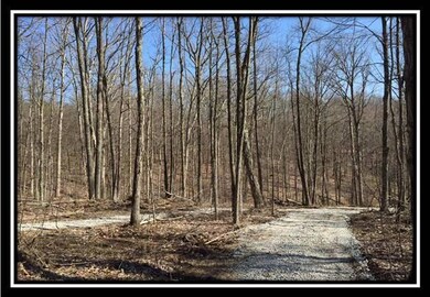 13438 Ohio 595, Logan, OH 43138 - photo 3