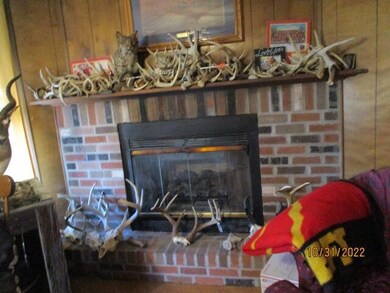 Fireplace in Living Room