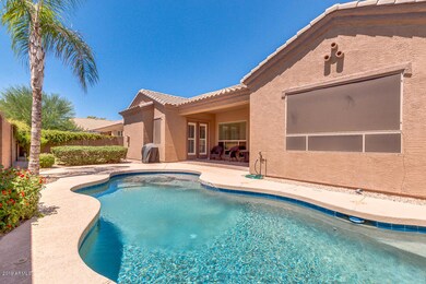 Private Oasis