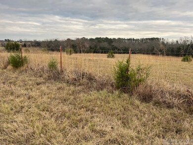 80 Spires Rd, Damascus, AR 72039 - photo 4