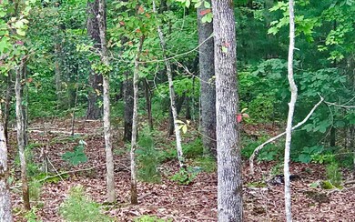 Additional View