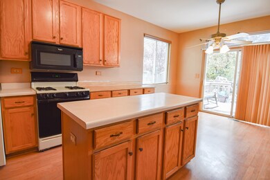 12244 Pear Tree Way, Plainfield, IL 60585 - photo 3