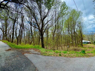 TBD Eastside Duck Mountain Rd, Scaly Mountain, NC 28775 - photo 7