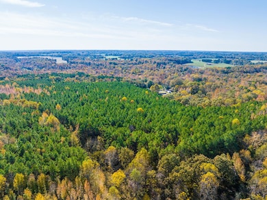 HWY 641 Puryear Crossland Rd, Puryear, TN 38251 - photo 3