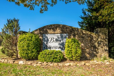 928_Blue_Sewanee_Rd_0017