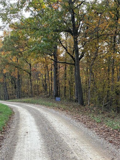 View of dirt / gravel road with a wooded view