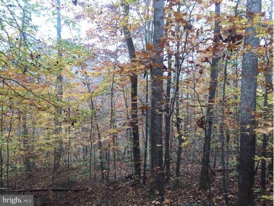 0 Ellisville Dr unit 1000546189, Louisa, VA 23093 - photo 3