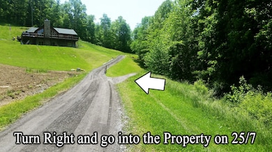 815 Days Run Rd, Fairview, WV 26570 - photo 4