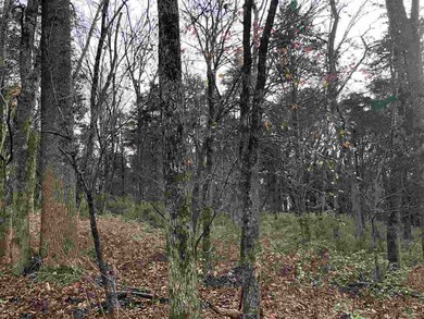 0 Forest Grove Rd unit 569410, Lexington, VA 24450 - photo 3