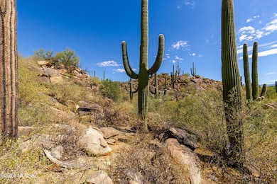 1173 W Tortolita Mountain Cir unit 182, Oro Valley, AZ 85755 - photo 5