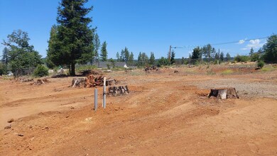 8645 Skyway, Paradise, CA 95969 - photo 4