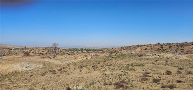 0 98th St E, Juniper Hills, CA 93543 - photo 3