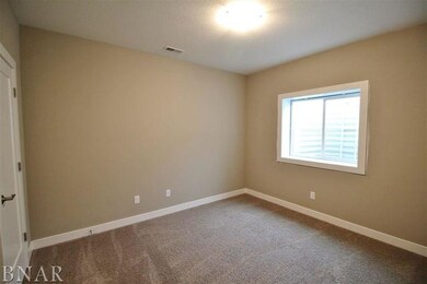 117 Dode Dr, Downs, IL 61736 - photo 4